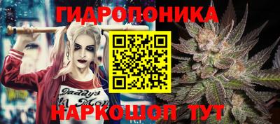 кокс Нальчик