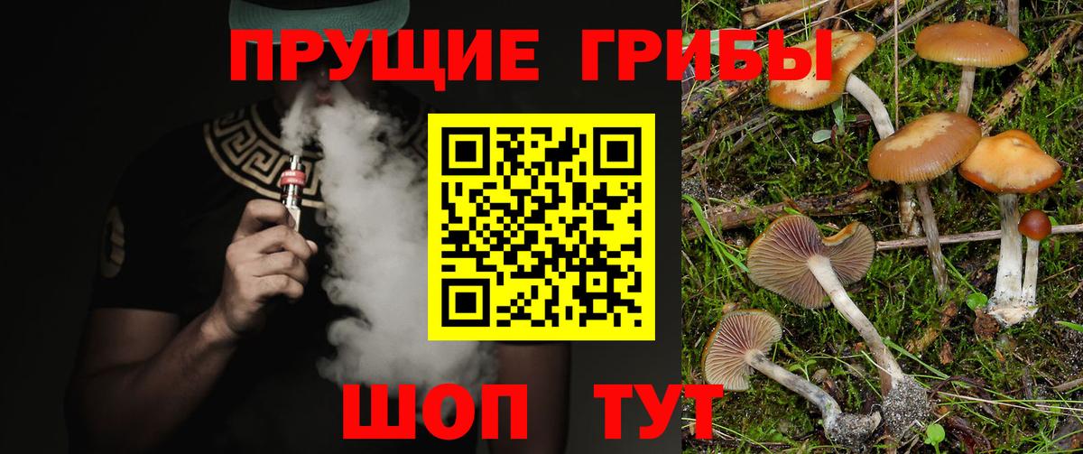 Великий Новгород  Псилоцибиновые грибы ЛСД  Вход с VPN 